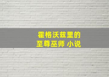 霍格沃兹里的至尊巫师 小说